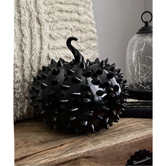 RACHEL ZOE Pumpkin SOLD❗️ - Picture 1 of 3
